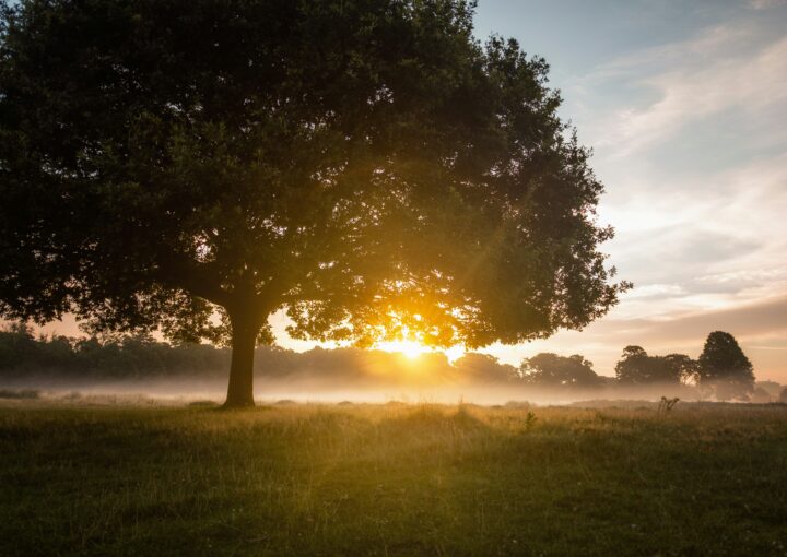 A primeira quinzena do ano de 2026!